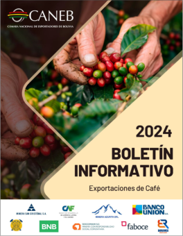 Boletín